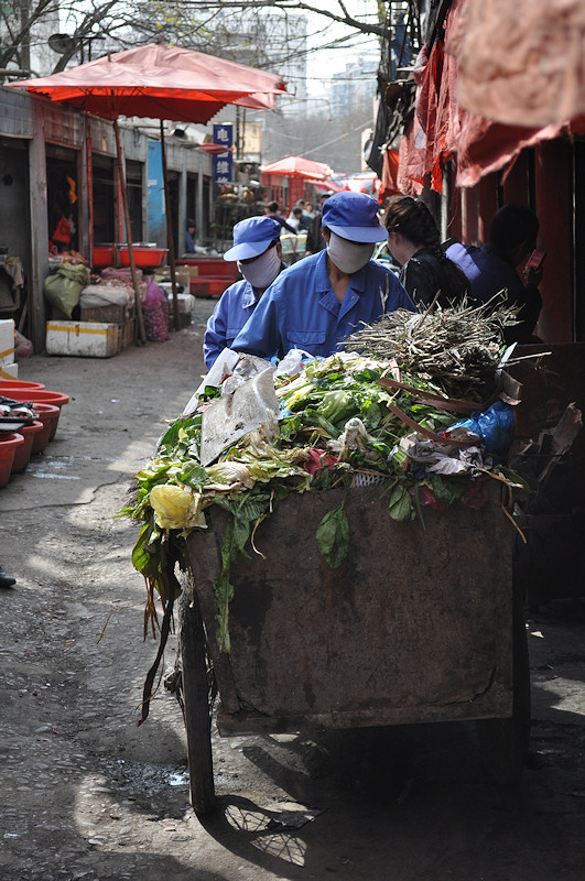 d Lanzhou 10